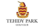 tehidy logo
