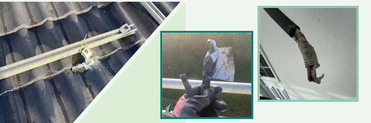 untitled-1200-x-400-px-10