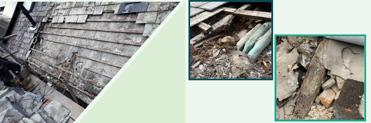 untitled-1200-x-400-px-12