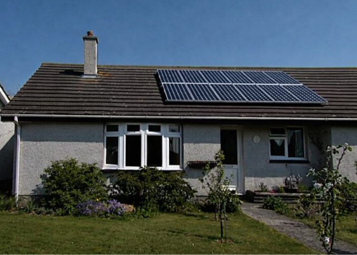 bird-mesh-solar-panels-700-x-500-px-1