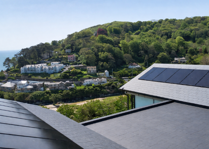 bird-mesh-solar-panels-700-x-500-px-3