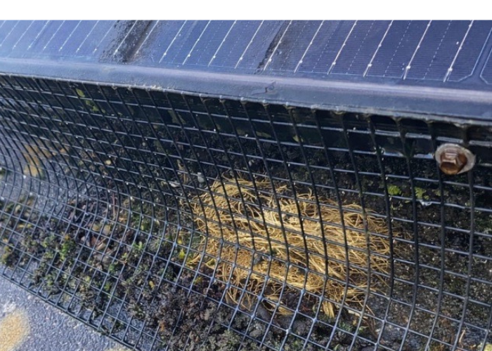 bird-mesh-solar-panels-700-x-500-px