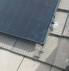 bird-mesh-naked-solar-installation bird-mesh-naked-solar-installation